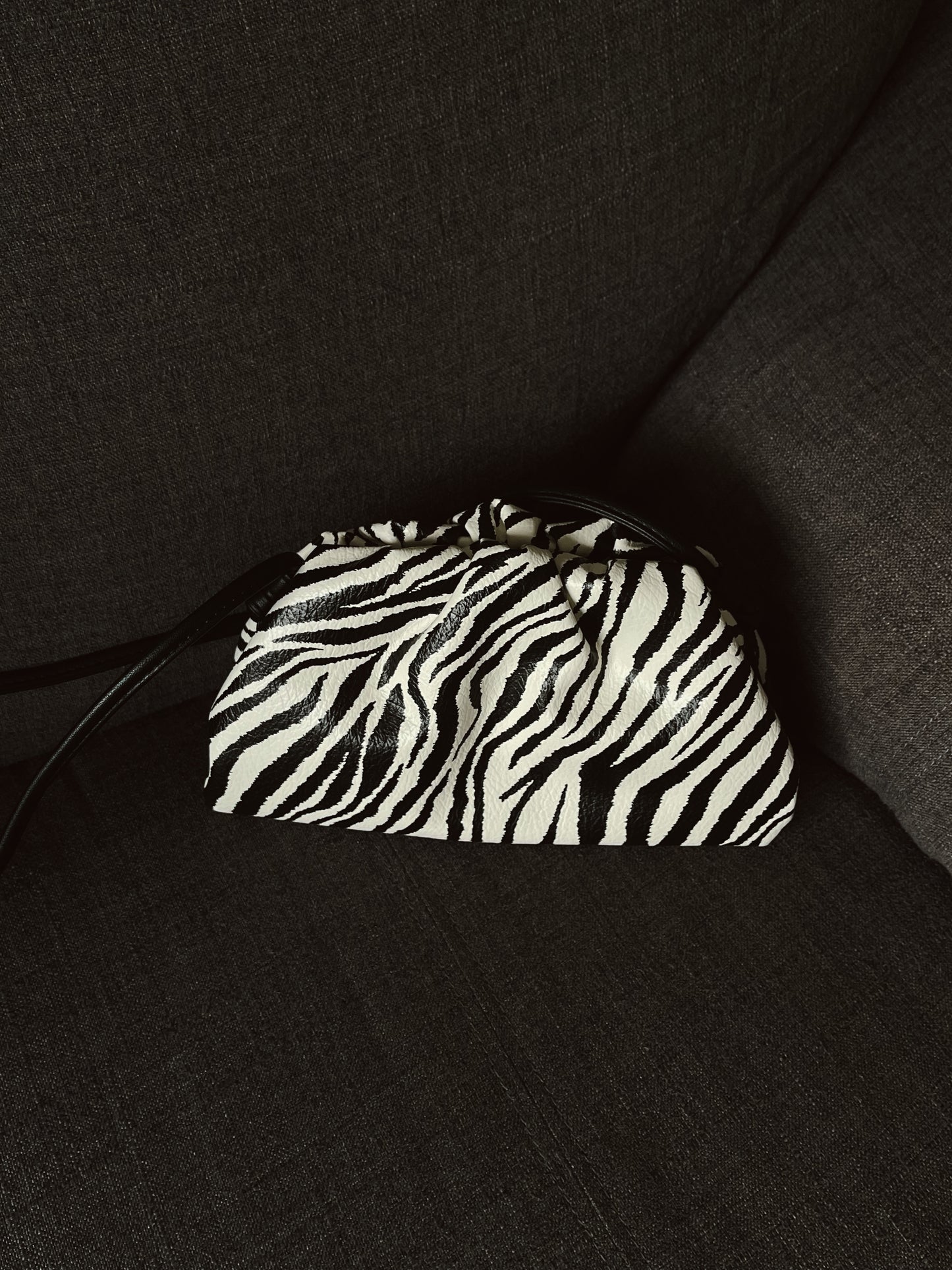 Zebra Pouch Bag