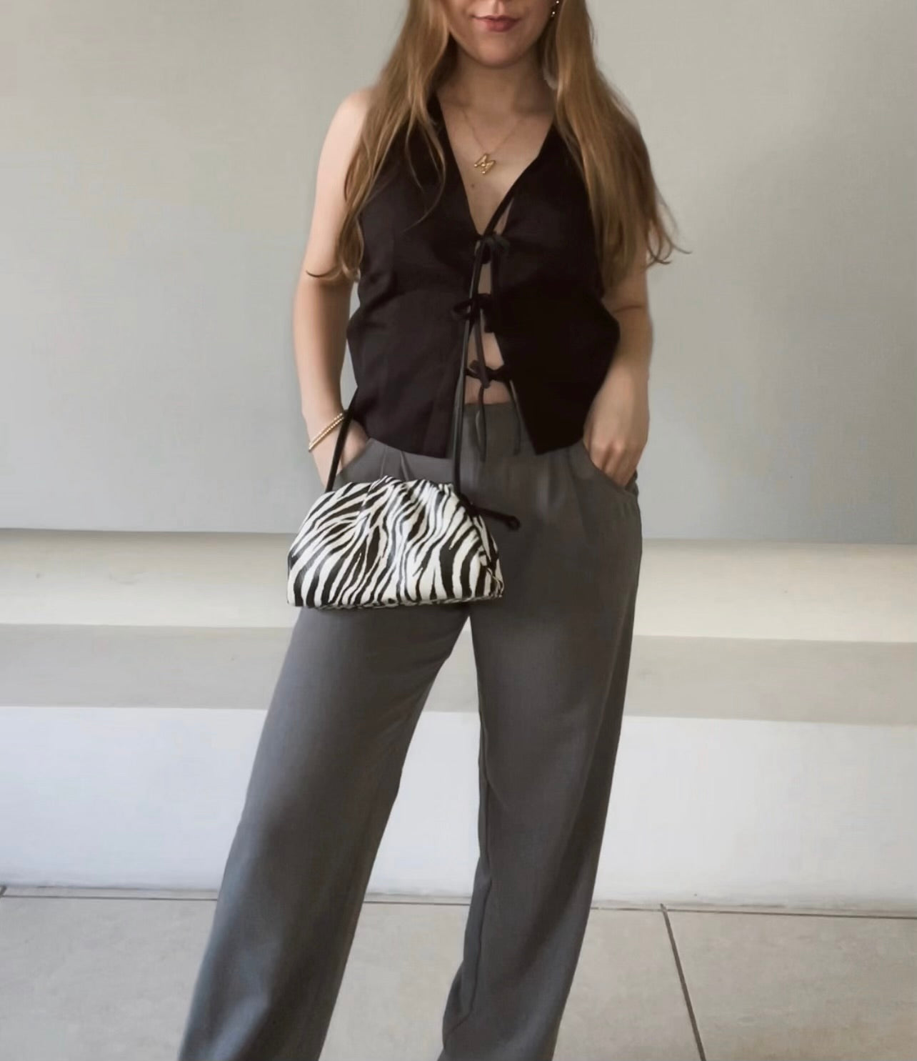 Zebra Pouch Bag